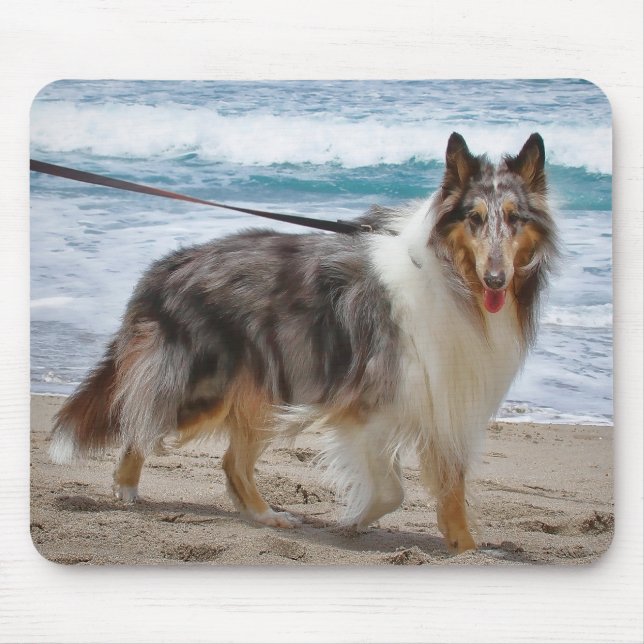 Mousepad Merle Collie Dog na Praia (Frente)
