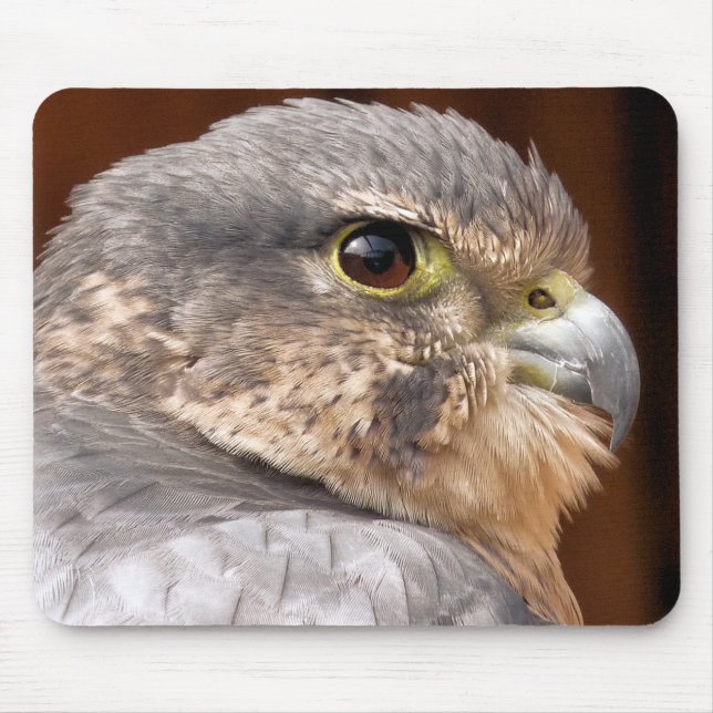 MOUSEPAD MERLIN FALCON BIRD OF PREY (Frente)