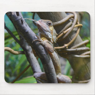 Mousepad Merten's Water Monitor
