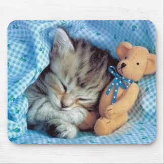 Mousepad Mesmo amor Teddybears dos gatinhos