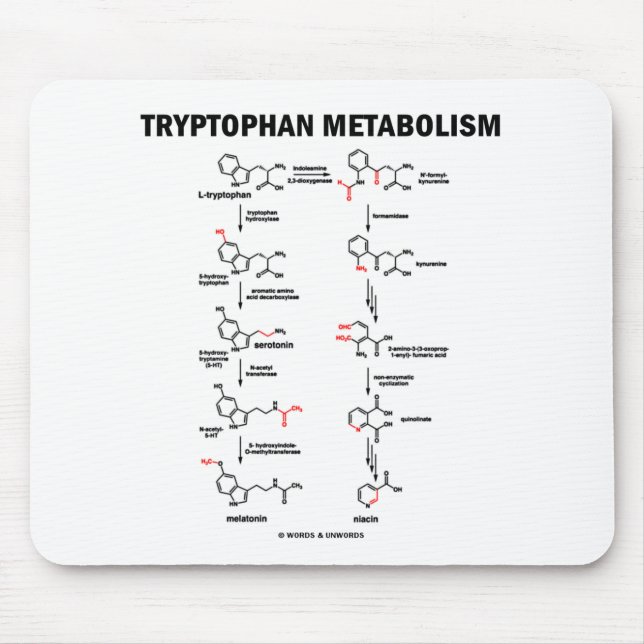 Mousepad Metabolismo do triptofano (química) (Frente)