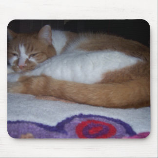 Mousepad Meu GATINHO!!