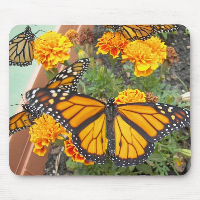 Mousepad Meu Monarch Butterflies-mousepad (Frente)