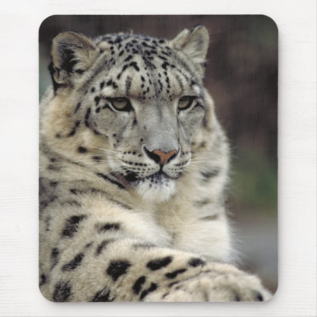 Mousepad Meu rato… (Frente)