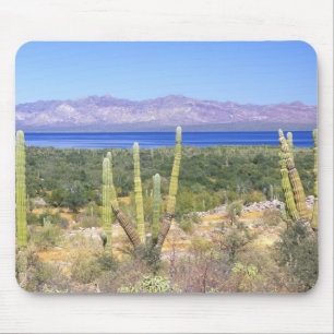 Mousepad México, Baja California Sur, Cardon Cactus em