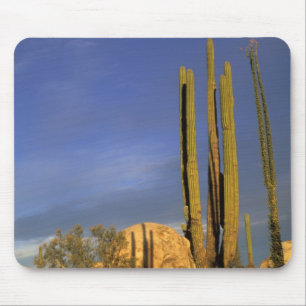 Mousepad México, Baja del Norte, Deserto Nacional de Catavi