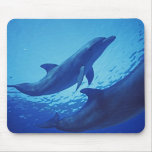 Mousepad México, Cozumel. Golfinho Nariz-de-Garrafa, Tursio