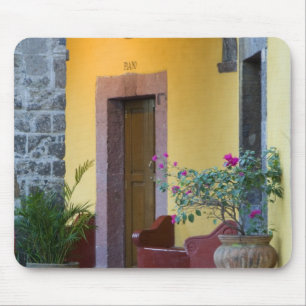 Mousepad México, San Miguel de Allende, Entrada de Arcada