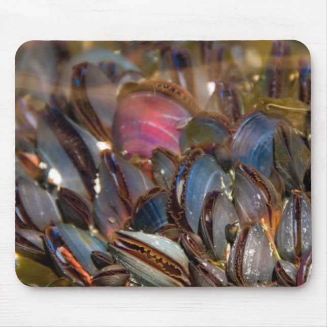Mousepad Mexilhões sob o oceano (Frente)
