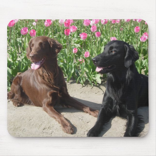 Mousepad Mick & Patsy nas tulipas 011 (Frente)