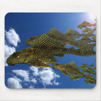 Mousepad Migração #2 de Pleco