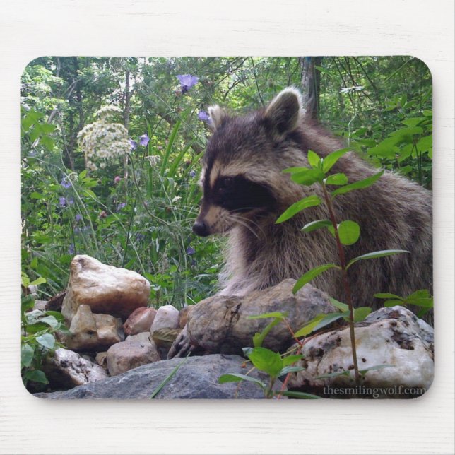 Mousepad Mika o guaxinim (Frente)