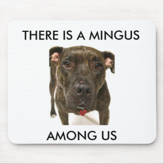 MOUSEPAD MINGUS ENTRE E.U.