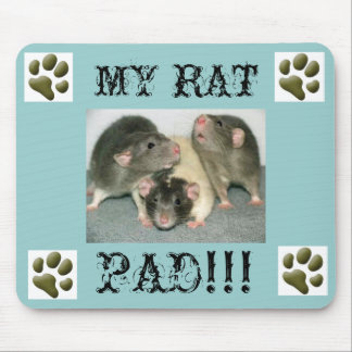 MOUSEPAD MINHA ALMOFADA DO RATO… ENGRAÇADA!!!!