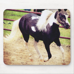 Mousepad Mini Cavalo na Liberdade