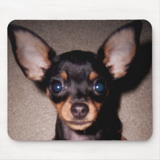 Mousepad mini pinscher. (Frente)