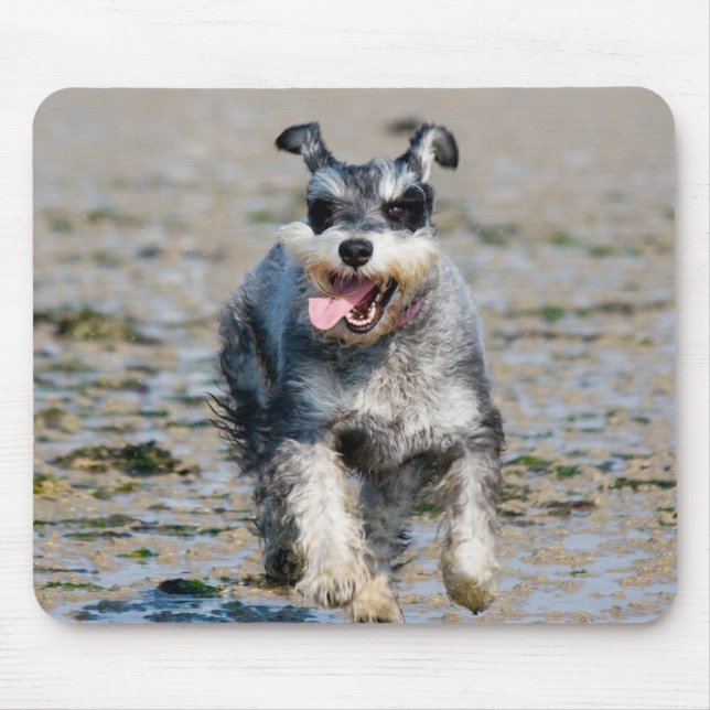 Mousepad mini schnauzer (Frente)