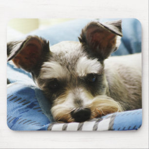 Mousepad Mini Schnauzer de sal & de pimenta