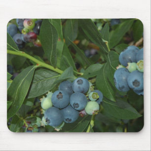 Mousepad Mirtilo