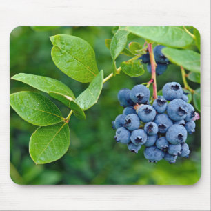 Mousepad Mirtilo Bush