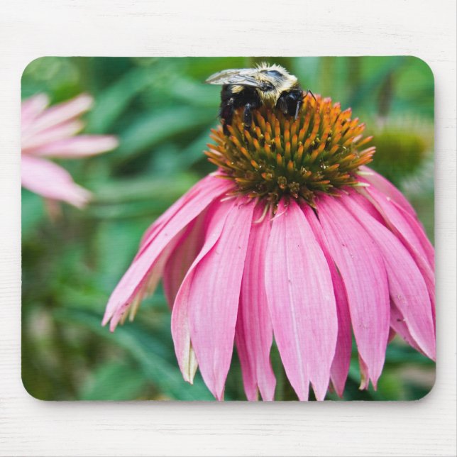 Mousepad Miss Bee (Frente)