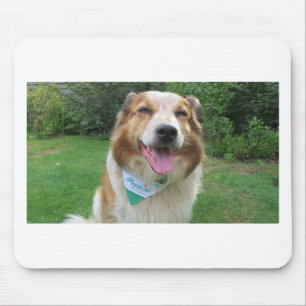 Mousepad mistura de collie de borda