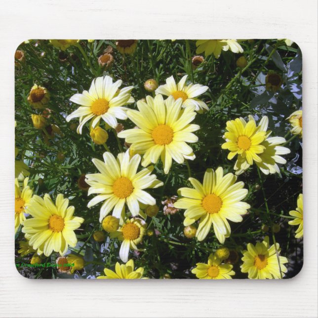 Mousepad Misty (Agryranthemum) (Frente)