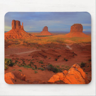Mousepad Mittens, Monument valley, AZ