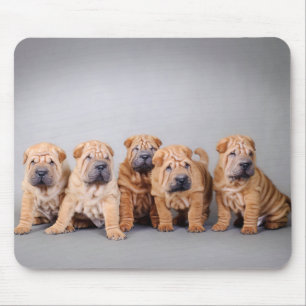 Mousepad Miúdos de xixi chineses