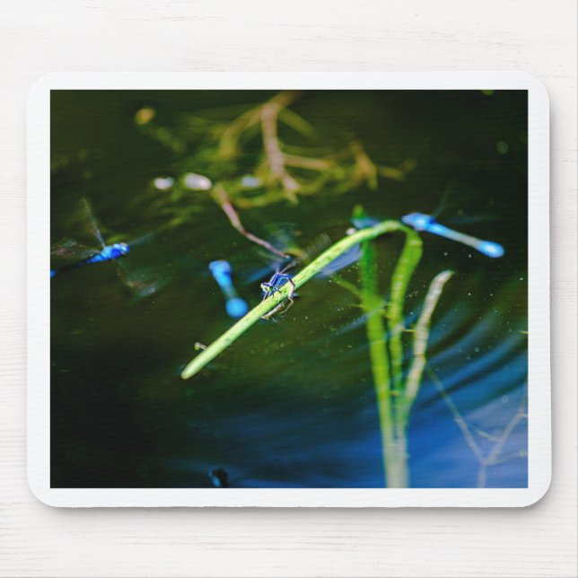 Mousepad MK2A8136_v01 (Frente)