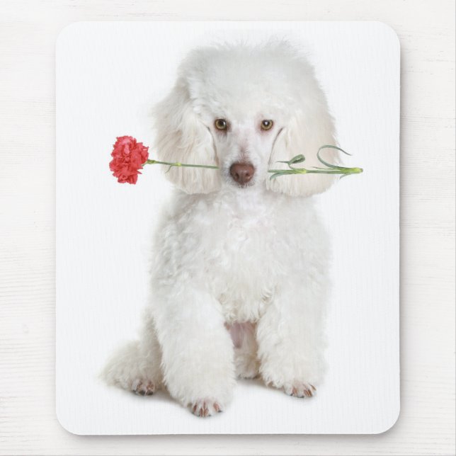 Mousepad Mocal-De-Mão De Cão Pupido Branco Miniatura (Frente)