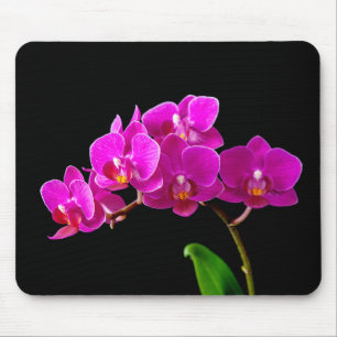 Mousepad Modelo das orquídeas da flor da orquídea do