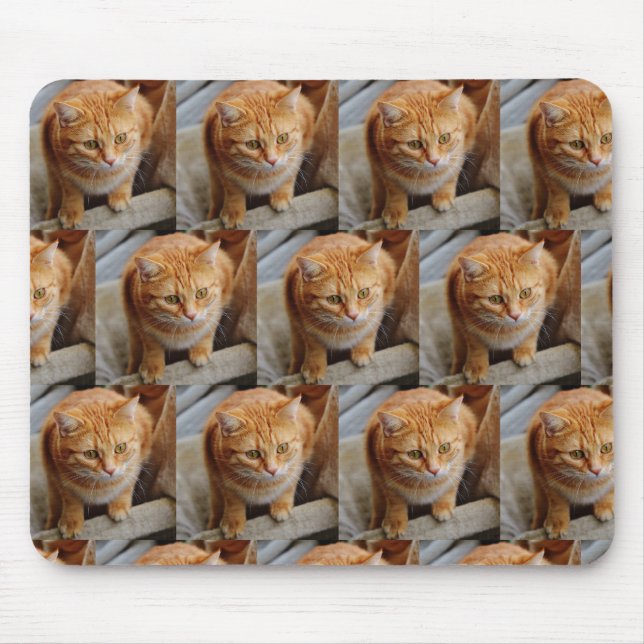 Mousepad Modelo de Colagem de Fotos Personalizadas Família  (Frente)