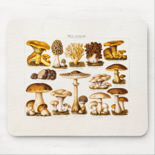 Mousepad Modelo dos cogumelos da variedade do cogumelo dos