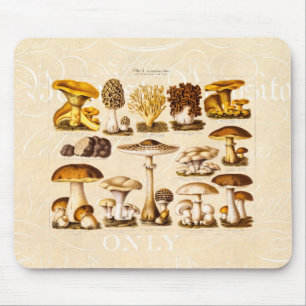 Mousepad Modelo dos cogumelos da variedade do cogumelo dos