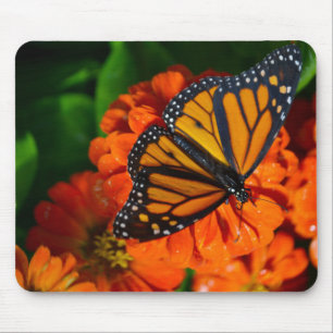 Mousepad Monarca