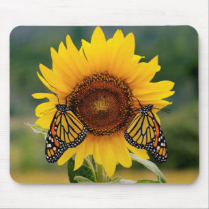 Mousepad Monarca Butterfies no girassol