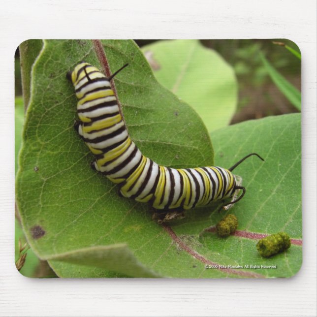 Mousepad Monarca Caterpillar (Frente)