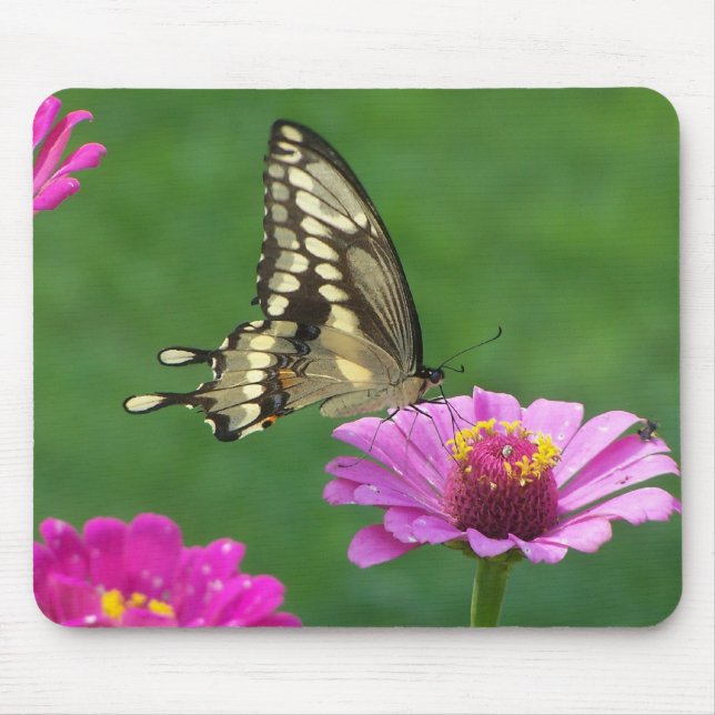 Mousepad Monarca delicado (Frente)