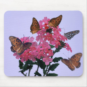 Mousepad Monarca e Penta cor-de-rosa