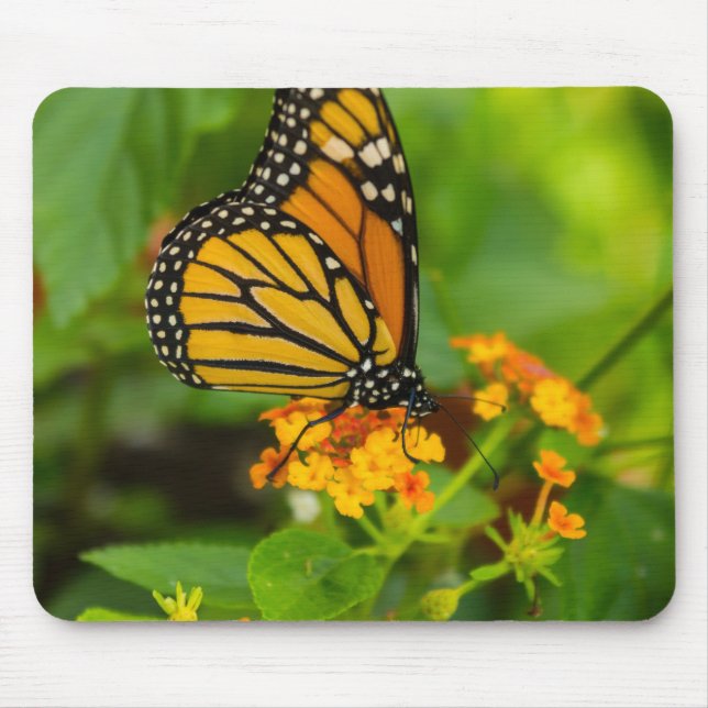 Mousepad Monarca Em Lantana (Frente)