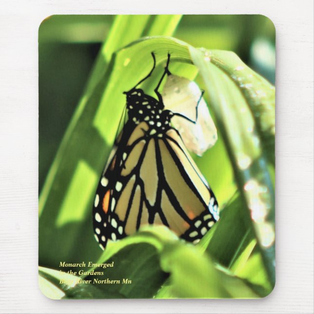 Mousepad Monarca Emergiu nos Jardins (Frente)