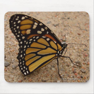 Mousepad Monarca na estrada