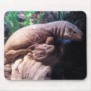 Mousepad Monitor do savana
