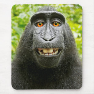 Mousepad Monkey Selfie