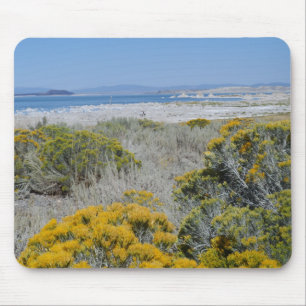 Mousepad Mono Lake, CA
