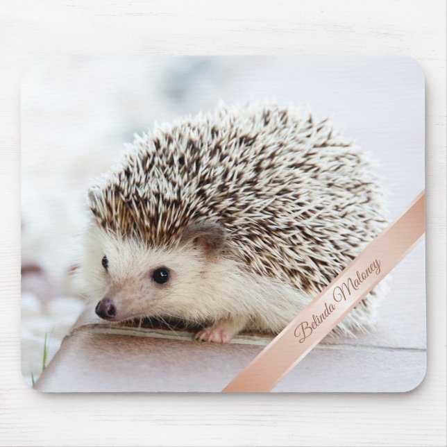 Mousepad Monograma de Hedgehoog Cute (Frente)