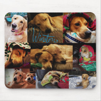 Mousepad Montagem Leeloo & Winston