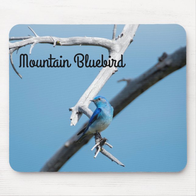 Mousepad Montanha Bluebird (Frente)