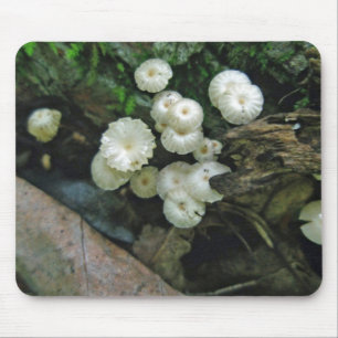 Mousepad Montanha de Colônia de Mushroom Tiny Crimped